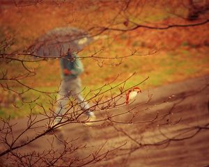 Превью обои парк, человек, зонт, дождь, дерево, ветки, осень