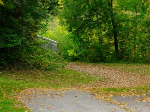 Превью обои парк, деревья, опавшие листья, осень, пейзаж