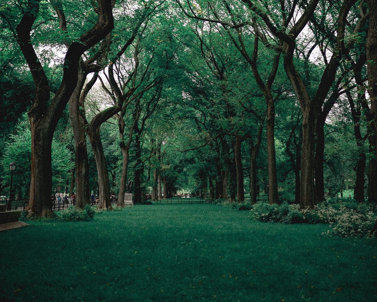 М forest. Парк Эстетика. Парк с животными Эстетика. Chrilex Park. Парк Драгунова фото.