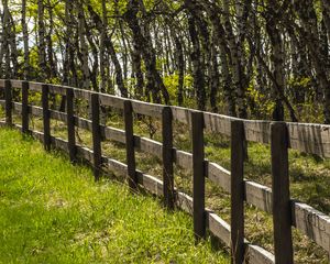 Превью обои парк, деревья, трава, забор, природа