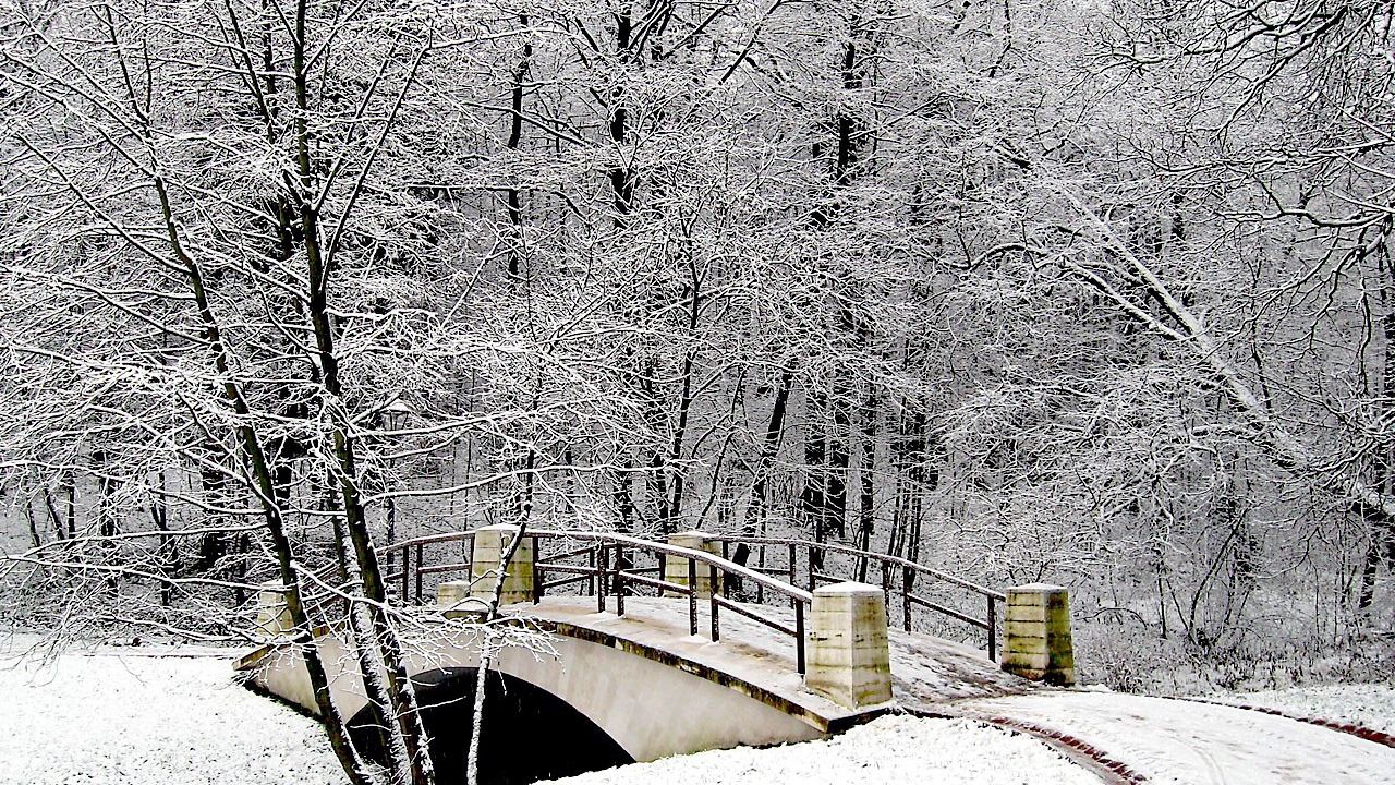 Обои парк, мост, зима, снег, иней