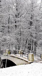 Превью обои парк, мост, зима, снег, иней