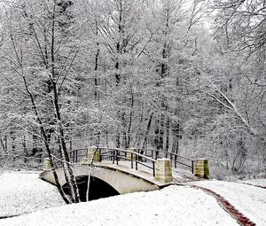 Превью обои парк, мост, зима, снег, иней
