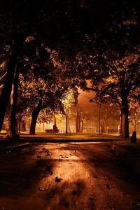 Превью обои парк, ночь, освещение, деревья, дорожка, листья