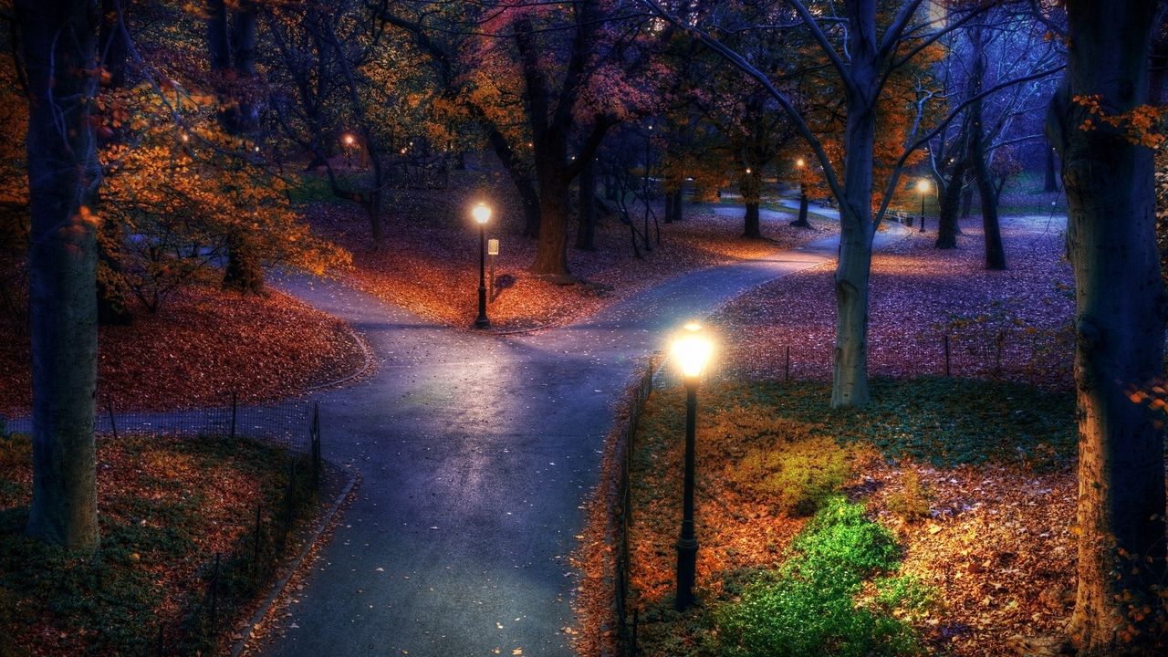 Обои парк, осень, город, фонари, тротуар, тропинки, листья
