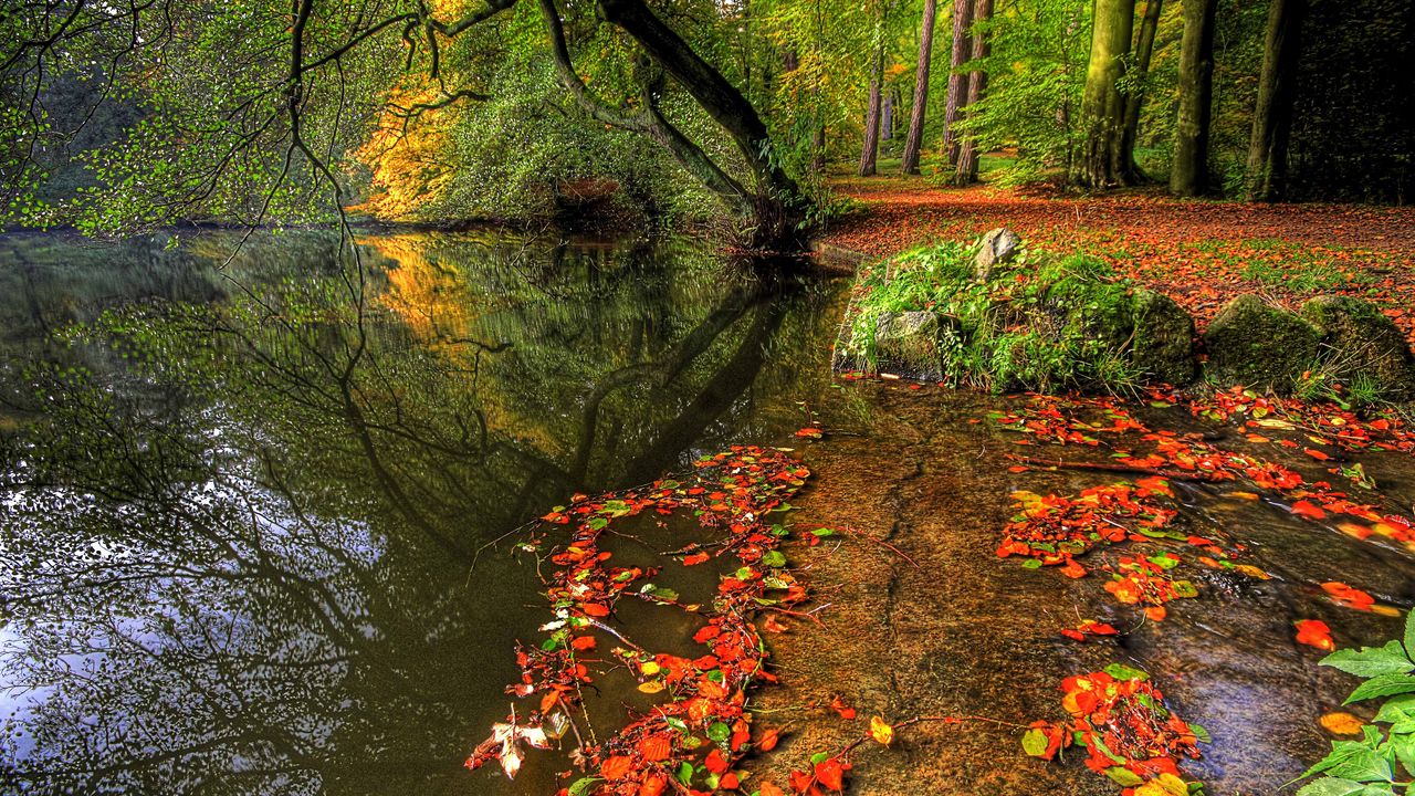 Обои парк, осень, листья, пруд, деревья, плита