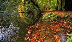 Превью обои парк, осень, листья, пруд, деревья, плита