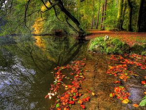 Превью обои парк, осень, листья, пруд, деревья, плита