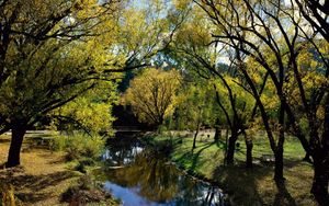 Превью обои парк, отдых, река, деревья, осень, австралия