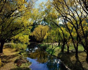 Превью обои парк, отдых, река, деревья, осень, австралия