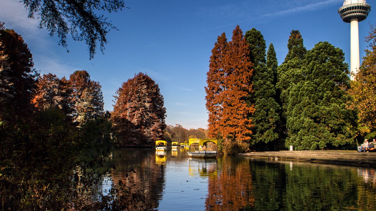 Обои парк, озеро, осень, деревья, отражение