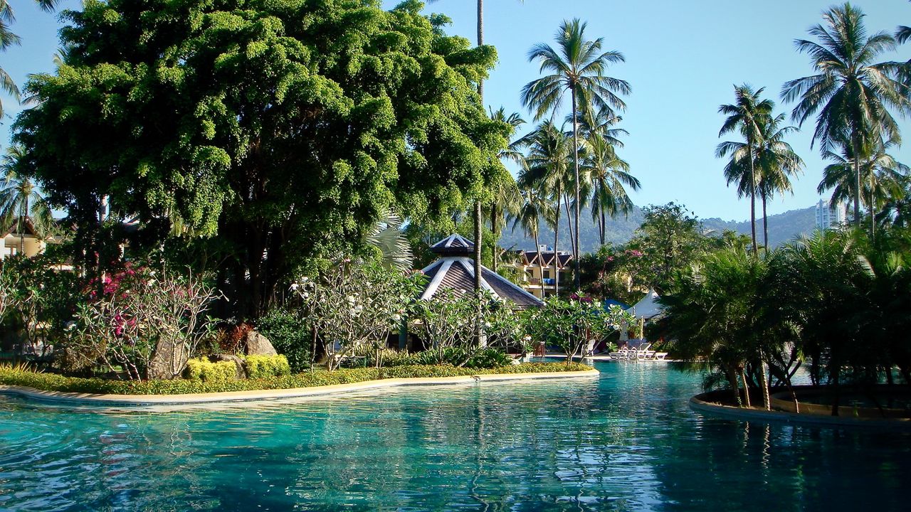 Обои парк, пхукет, таиланд, бассейн, пальмы