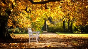 Превью обои парк, скамейка, листва, осень