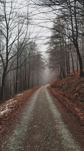 Превью обои парк, тропинка, осень, листва, деревья