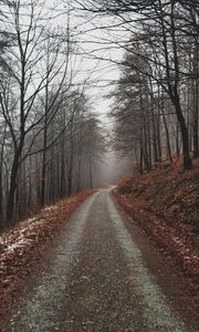 Превью обои парк, тропинка, осень, листва, деревья