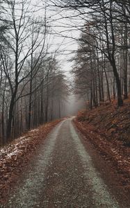 Превью обои парк, тропинка, осень, листва, деревья