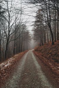 Превью обои парк, тропинка, осень, листва, деревья