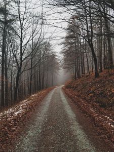 Превью обои парк, тропинка, осень, листва, деревья