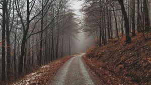 Превью обои парк, тропинка, осень, листва, деревья