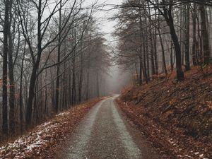 Превью обои парк, тропинка, осень, листва, деревья