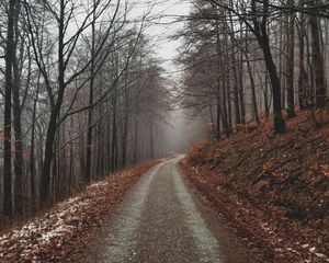 Превью обои парк, тропинка, осень, листва, деревья