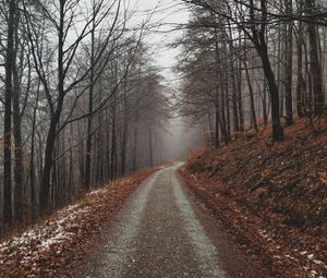 Превью обои парк, тропинка, осень, листва, деревья