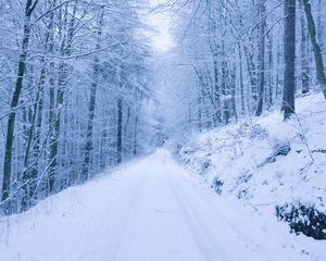 Превью обои парк, тропинка, зима, снег, деревья