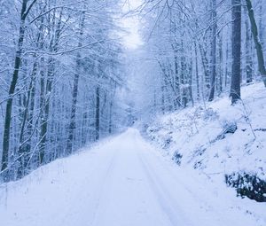 Превью обои парк, тропинка, зима, снег, деревья