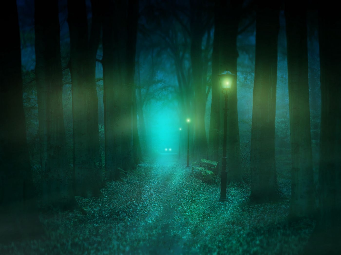 таинственная природа. свет в конце пути. лунный свет в лесу. темный лес. загадочный свет.