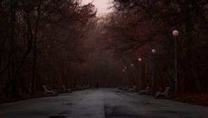 Превью обои парк, туман, силуэт, деревья