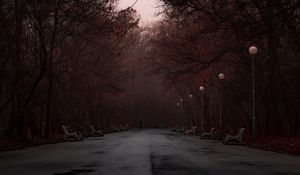 Превью обои парк, туман, силуэт, деревья