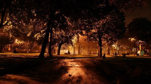 Превью обои парк, вечер, освещение, деревья, асфальт, листья
