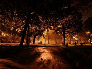 Превью обои парк, вечер, освещение, деревья, асфальт, листья