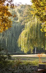 Превью обои парк, венгрия, осень, пейзаж