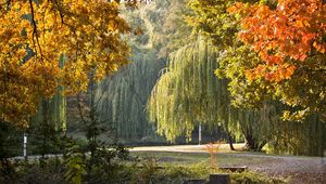 Превью обои парк, венгрия, осень, пейзаж