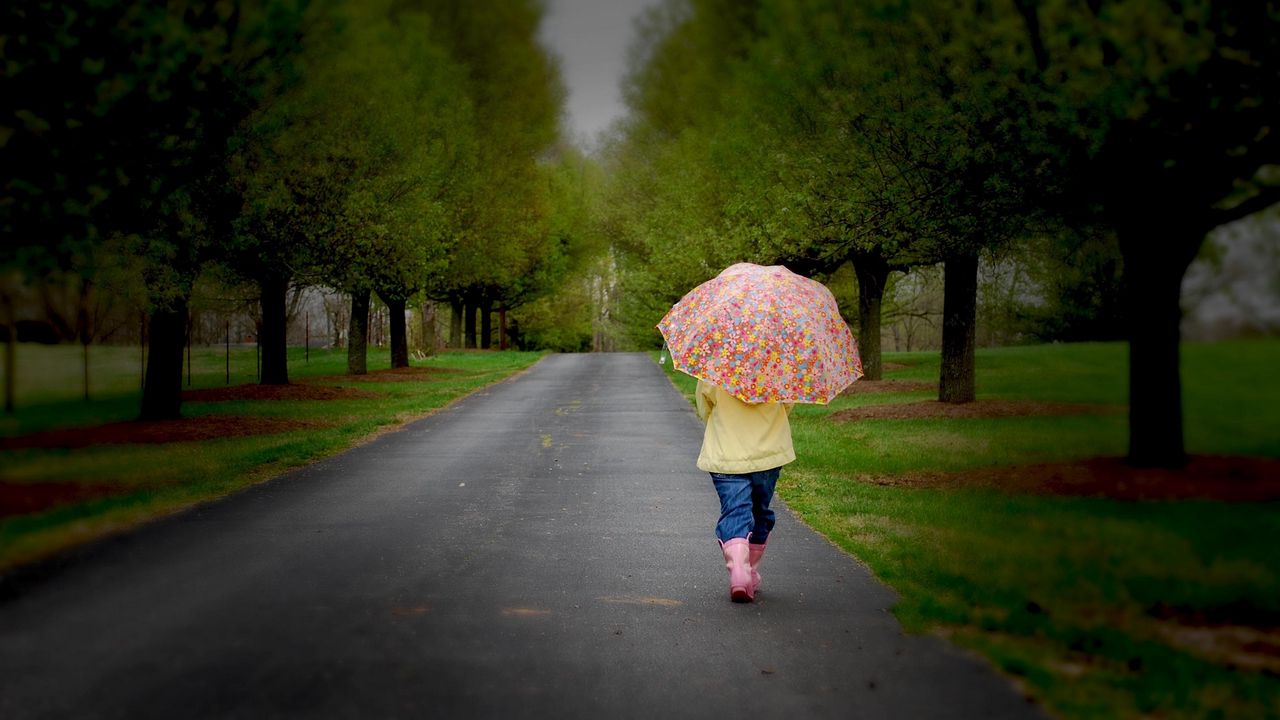 Обои парк, зонт, дерево, дорога, прогулка, пасмурно