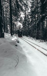 Превью обои паровоз, поезд, лес, снег, зима