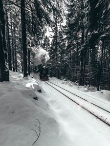 Превью обои паровоз, поезд, лес, снег, зима