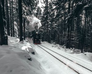 Превью обои паровоз, поезд, лес, снег, зима