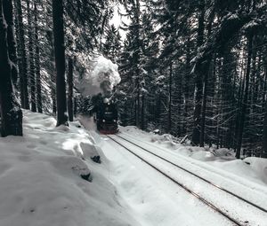 Превью обои паровоз, поезд, лес, снег, зима