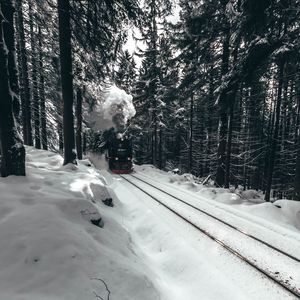 Превью обои паровоз, поезд, лес, снег, зима