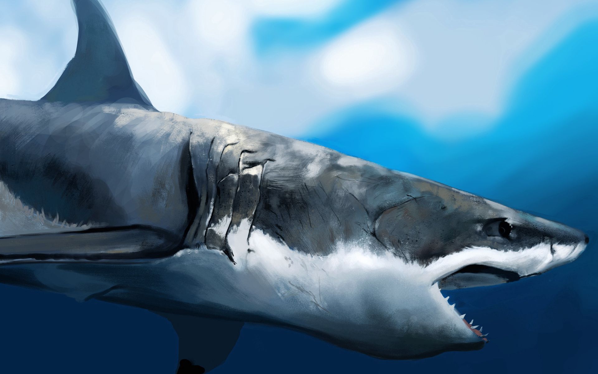 Большая белая акула