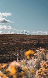Превью обои пастбище, гора, вершина, цветы, пейзаж