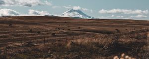 Превью обои пастбище, гора, вершина, цветы, пейзаж