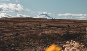 Превью обои пастбище, гора, вершина, цветы, пейзаж