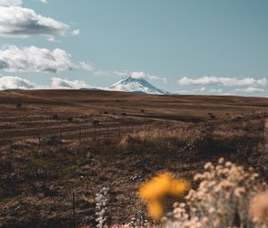 Превью обои пастбище, гора, вершина, цветы, пейзаж