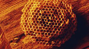 Превью обои пчелы, соты, мед, форма, поверхность