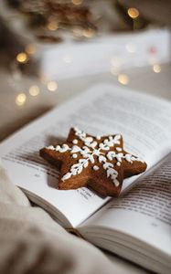 Превью обои печенье, звезда, книга