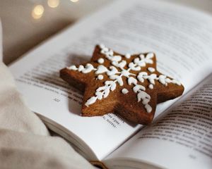 Превью обои печенье, звезда, книга