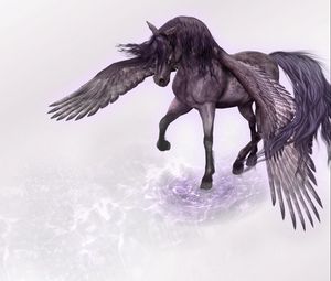 Превью обои пегас, конь, крылья, вода